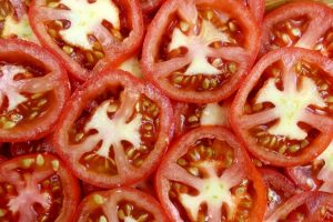 semence des graines de tomates